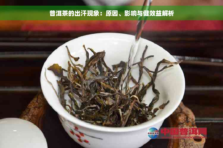 普洱茶的出汗现象：原因、影响与健效益解析