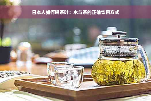 日本人如何喝茶叶：水与茶的正确饮用方式