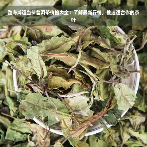 勐海鸿运当头普洱茶价格大全：了解最新行情，挑选适合你的茶叶