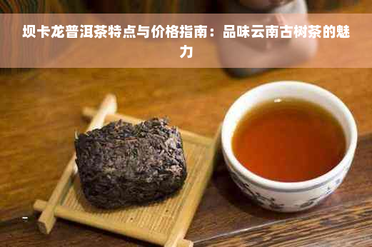 坝卡龙普洱茶特点与价格指南：品味云南古树茶的魅力