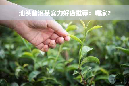 汕头普洱茶实力好店推荐：哪家？