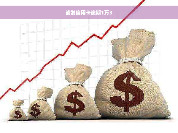 浦发信用卡逾期1万3