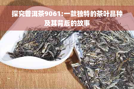 探究普洱茶9061:一款独特的茶叶品种及其背后的故事