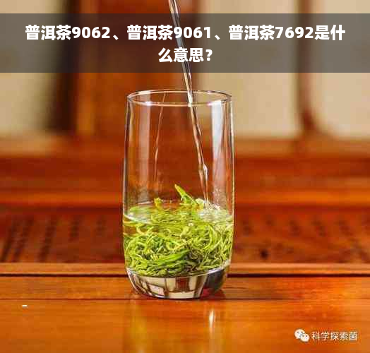 普洱茶9062、普洱茶9061、普洱茶7692是什么意思？