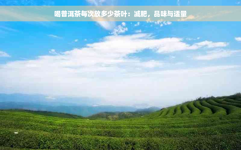 喝普洱茶每次放多少茶叶：减肥，品味与适量