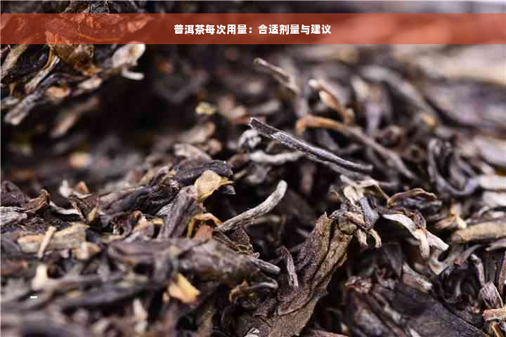 普洱茶每次用量：合适剂量与建议