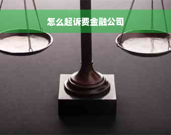 怎么起诉费金融公司