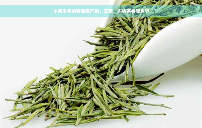 中茶出名的普洱茶产地：云南，古树茶香飘世界