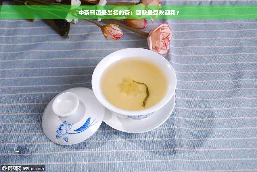 中茶普洱最出名的茶：哪款更受欢迎和？