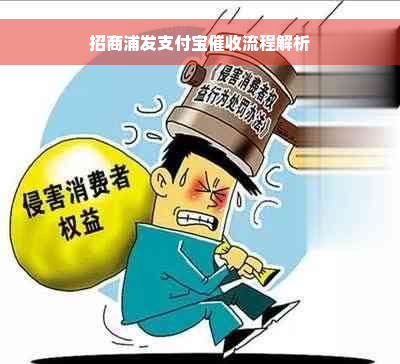 招商浦发支付宝催收流程解析