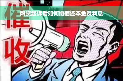 网贷起诉后如何协商还本金及利息