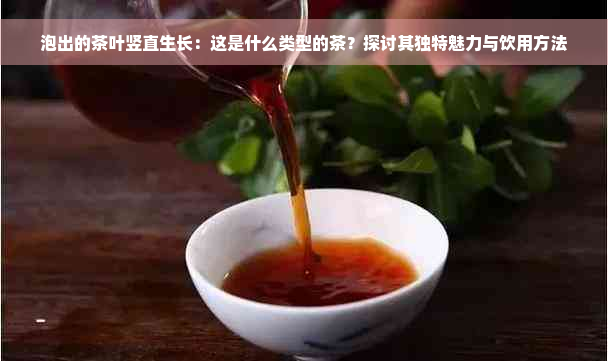 泡出的茶叶竖直生长：这是什么类型的茶？探讨其独特魅力与饮用方法