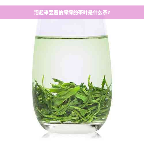 泡起来竖着的绿绿的茶叶是什么茶？