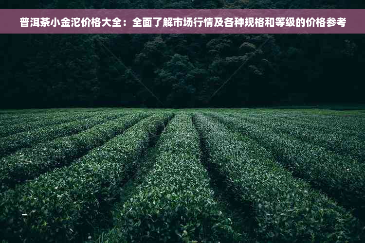 普洱茶小金沱价格大全：全面了解市场行情及各种规格和等级的价格参考