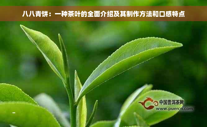 八八青饼：一种茶叶的全面介绍及其制作方法和口感特点