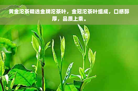 黄金沱茶精选金牌沱茶叶，金冠沱茶叶组成，口感醇厚，品质上乘。