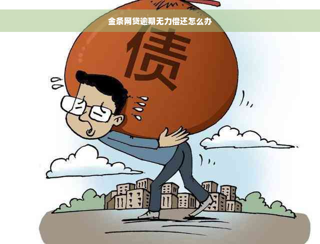 金条网贷逾期无力偿还怎么办