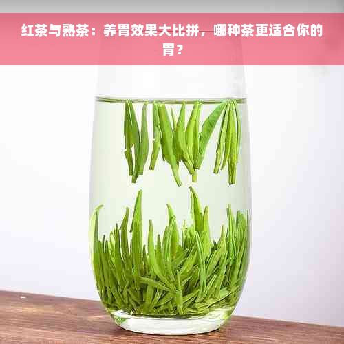 红茶与熟茶：养胃效果大比拼，哪种茶更适合你的胃？