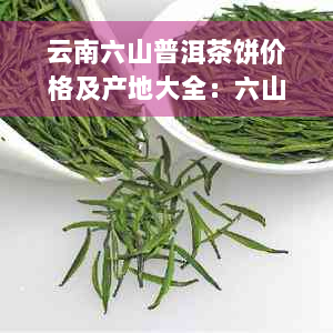 云南六山普洱茶饼价格及产地大全：六山特制十年老饼与印象茶品报价