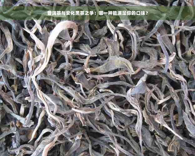 普洱茶与安化黑茶之争：哪一种能满足你的口味？