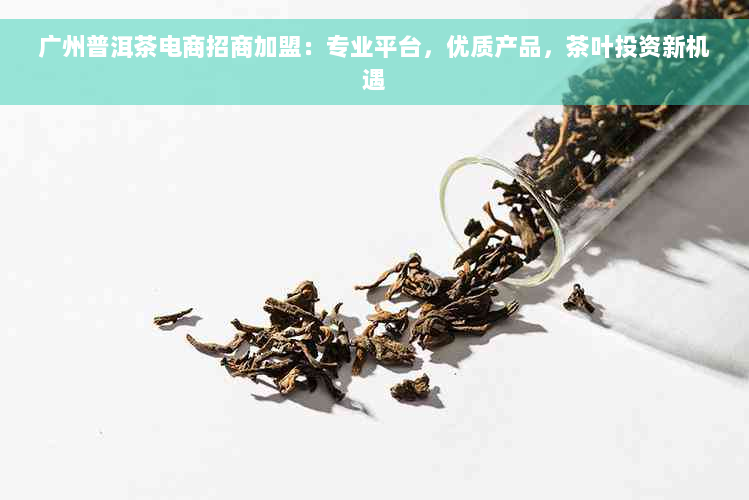 广州普洱茶电商招商加盟：专业平台，优质产品，茶叶投资新机遇