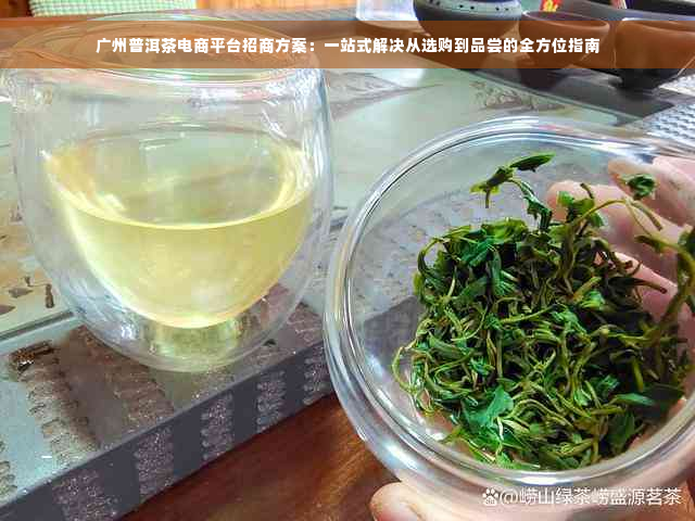 广州普洱茶电商平台招商方案：一站式解决从选购到品尝的全方位指南