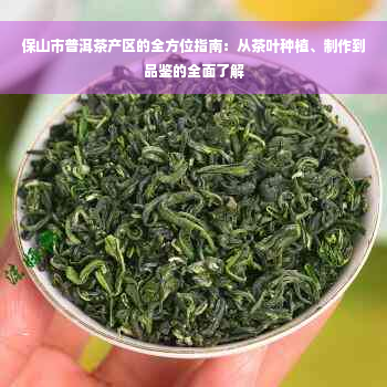 保山市普洱茶产区的全方位指南：从茶叶种植、制作到品鉴的全面了解