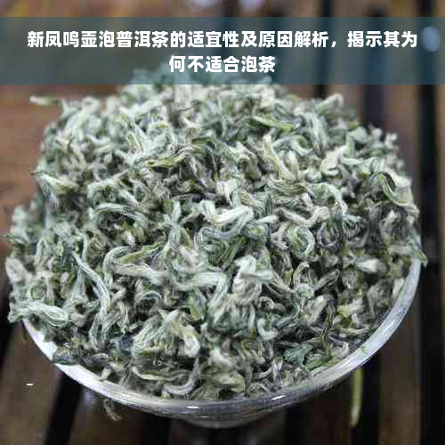 新凤鸣壶泡普洱茶的适宜性及原因解析，揭示其为何不适合泡茶