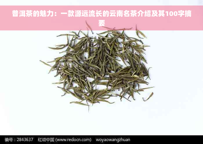 普洱茶的魅力：一款源远流长的云南名茶介绍及其100字摘要