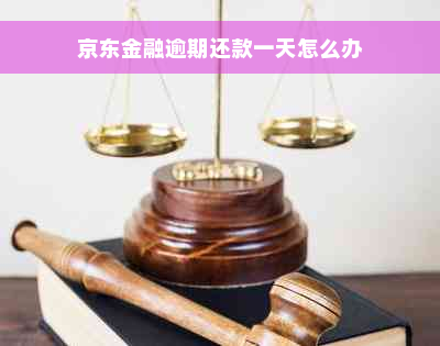 京东金融逾期还款一天怎么办