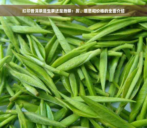 红印普洱茶是生茶还是熟茶：历、意思和价格的全面介绍