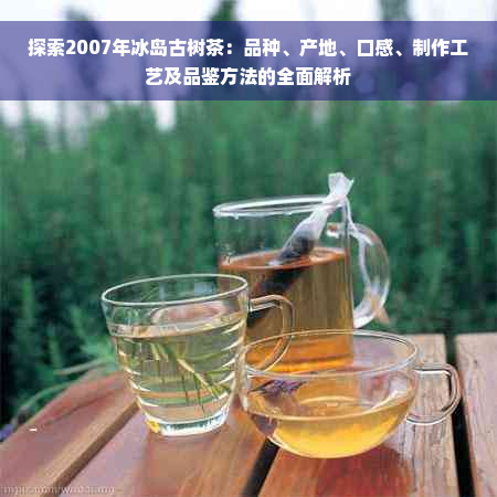 探索2007年冰岛古树茶：品种、产地、口感、制作工艺及品鉴方法的全面解析