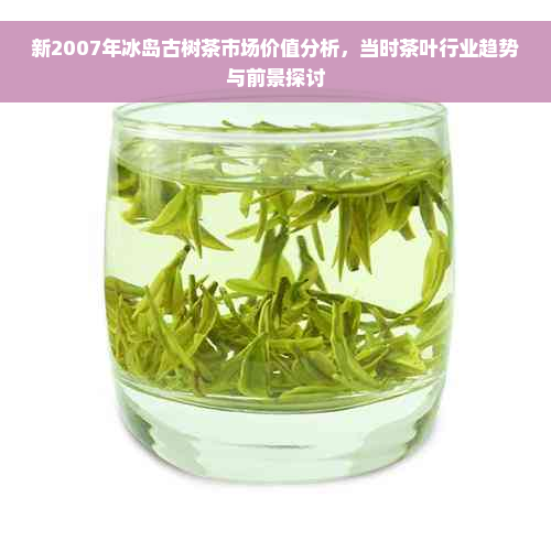 新2007年冰岛古树茶市场价值分析，当时茶叶行业趋势与前景探讨