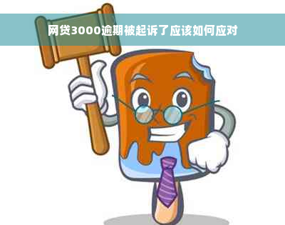 网贷3000逾期被起诉了应该如何应对