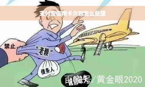 支付宝信用卡欠款怎么处理