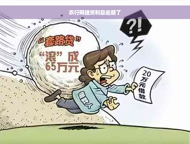 农行网捷贷利息逾期了