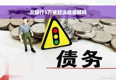 欠银行5万被起诉能调解吗