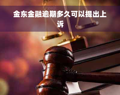 金东金融逾期多久可以提出上诉