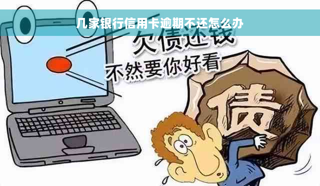 几家银行信用卡逾期不还怎么办