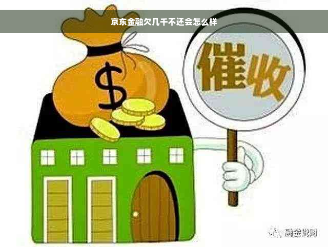 京东金融欠几千不还会怎么样