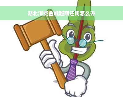 湖北消费金融超期还钱怎么办