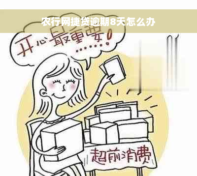 农行网捷贷逾期8天怎么办