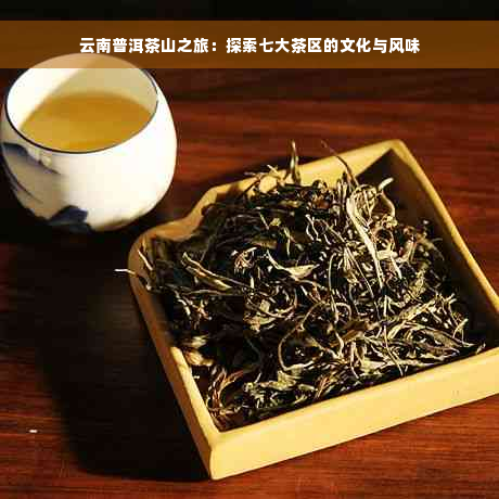 云南普洱茶山之旅：探索七大茶区的文化与风味