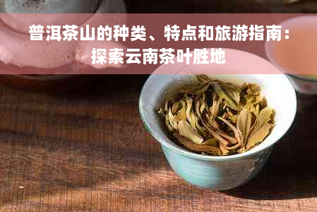 普洱茶山的种类、特点和旅游指南：探索云南茶叶胜地