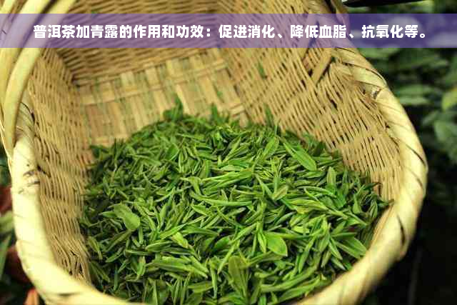 普洱茶加青露的作用和功效：促进消化、降低血脂、抗氧化等。