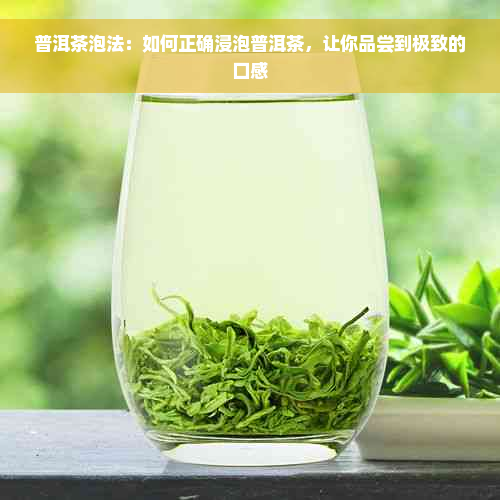 普洱茶泡法：如何正确浸泡普洱茶，让你品尝到极致的口感