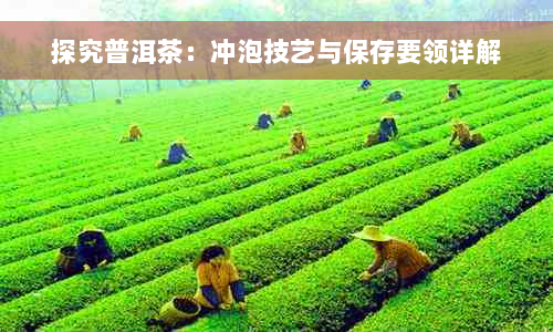 探究普洱茶：冲泡技艺与保存要领详解