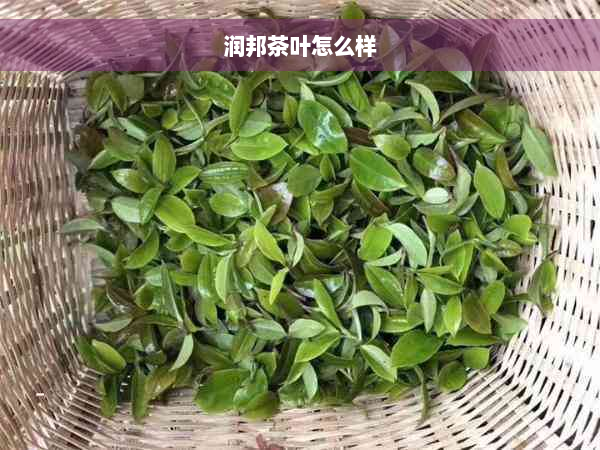 润邦茶叶怎么样