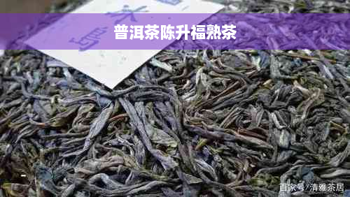 普洱茶陈升福熟茶