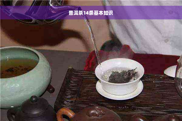 普洱茶14条基本知识